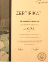 Zahnfüllungen